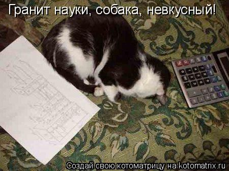 Гранит науки, собака, невкусный!... Котоматрица: Гранит науки, собака, невкусный!