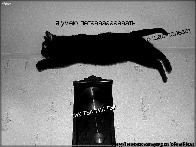 я умею летаааааааааать о о щас полезет тик так тик так... Котоматрица: я умею летаааааааааать о о щас полезет тик так тик так