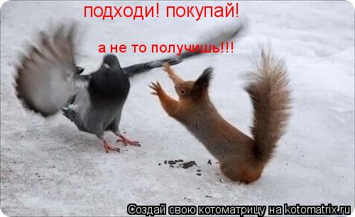 подходи! покупай! а не то получишь!!!... Котоматрица: подходи! покупай! а не то получишь!!!