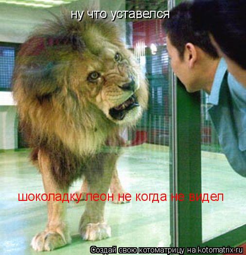 Котоматрица: ну что уставелся шоколадку леон не когда не видел