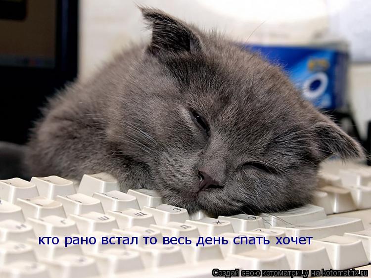кто рано встал то весь день спать хочет... Котоматрица: кто рано встал то весь день спать хочет
