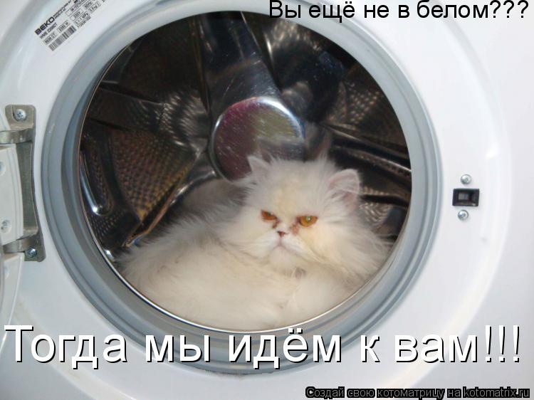 Вы ещё не в белом??? Тогда мы идём к вам!!!... Котоматрица: Вы ещё не в белом??? Тогда мы идём к вам!!!