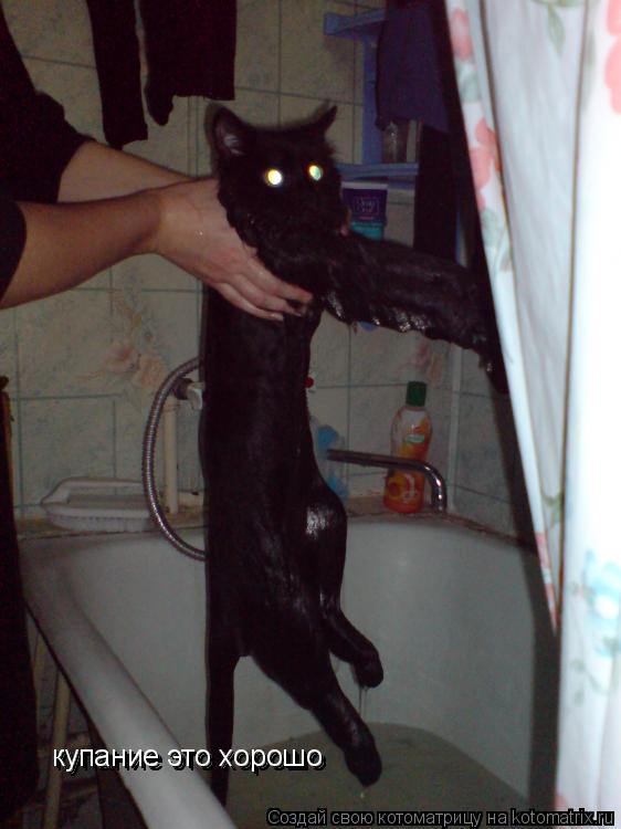 Котоматрица: купание это хорошо купание это хорошо купание это хорошо