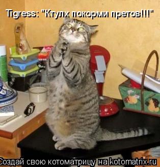 Tigress: "Ктулх покорми претов!!!"... Котоматрица: Tigress: "Ктулх покорми претов!!!"