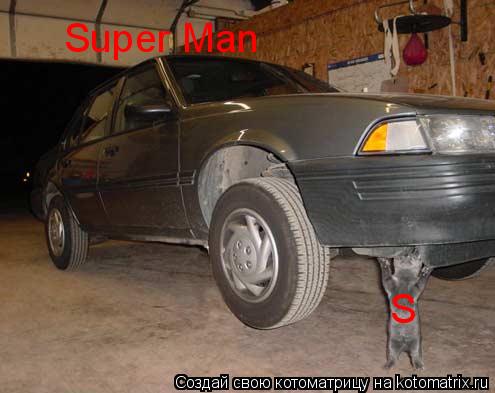 Котоматрица: S Super Man