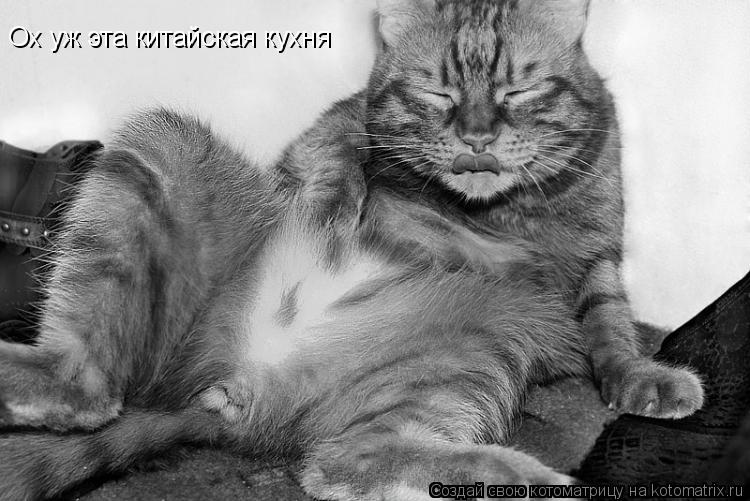 Ох уж эта китайская кухня... Котоматрица: Ох уж эта китайская кухня