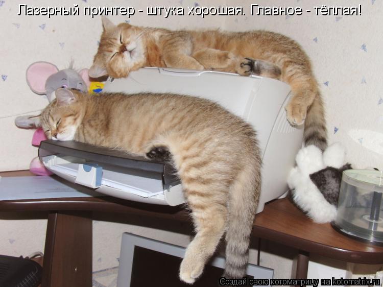Лазерный принтер - штука хорошая. Главное - тёплая!... Котоматрица: Лазерный принтер - штука хорошая. Главное - тёплая!