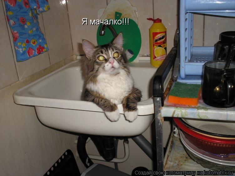 Котоматрица: Я мачалко!!!