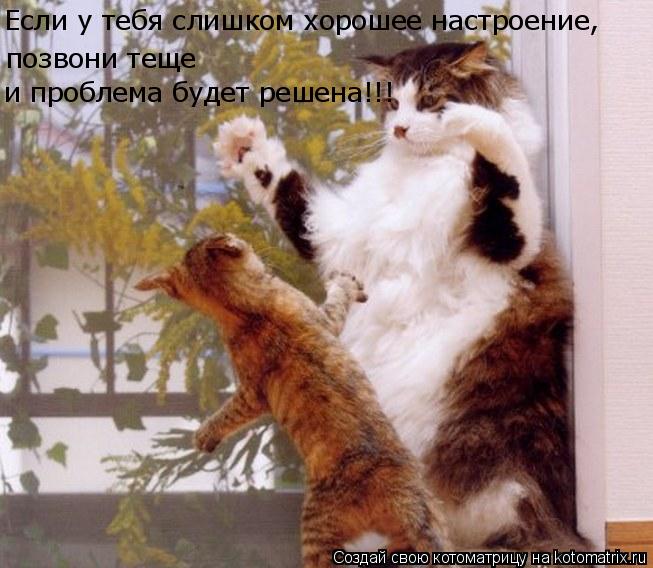 Если у тебя слишком хорошее настроение, позвони теще и проблема будет решена!!!... Котоматрица: Если у тебя слишком хорошее настроение, позвони теще и проблема будет решена!!!