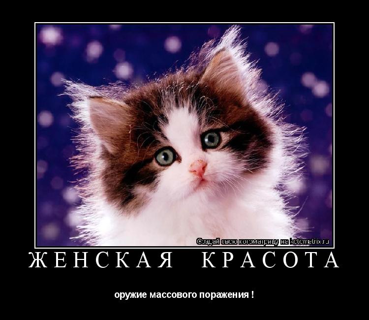 ЖЕНСКАЯ КРАСОТА оружие массового поражения !... Котоматрица: ЖЕНСКАЯ КРАСОТА оружие массового поражения !