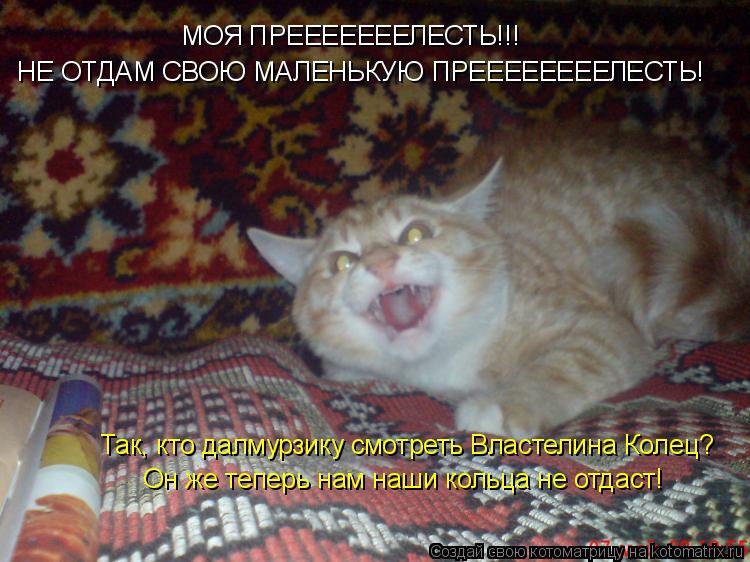Котоматрица: МОЯ ПРЕЕЕЕЕЕЕЛЕСТЬ!!! НЕ ОТДАМ СВОЮ МАЛЕНЬКУЮ ПРЕЕЕЕЕЕЕЕЛЕСТЬ! Так, кто далмурзику смотреть Властелина Колец? Он же теперь нам наши кольца н