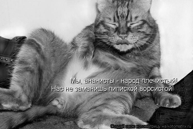 Котоматрица: Мы, ананисты - народ плечистый! Нас не заманишь пипиской ворсистой!