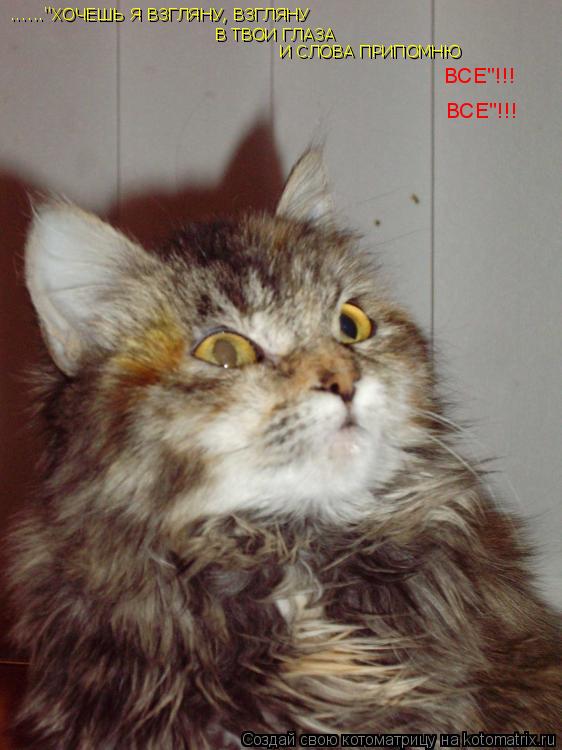 Котоматрица: ......"ХОЧЕШЬ Я ВЗГЛЯНУ, ВЗГЛЯНУ В ТВОИ ГЛАЗА И СЛОВА ПРИПОМНЮ  ВСЕ"!!! ВСЕ"!!!