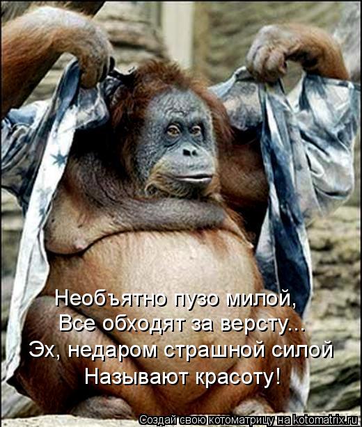 Котоматрица: Необъятно пузо милой,  Все обходят за версту... Эх, недаром страшной силой  Называют красоту!