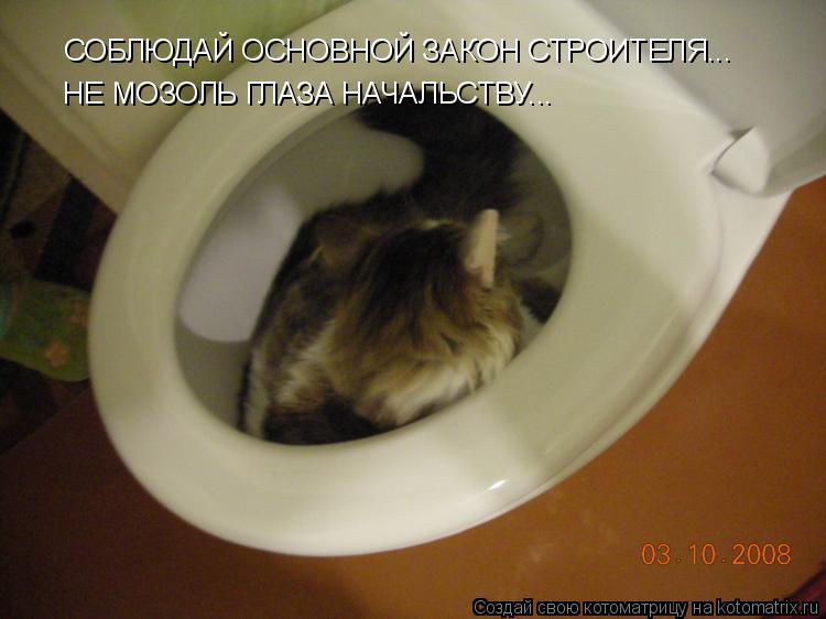 Котоматрица: СОБЛЮДАЙ ОСНОВНОЙ ЗАКОН СТРОИТЕЛЯ... НЕ МОЗОЛЬ ГЛАЗА НАЧАЛЬСТВУ...