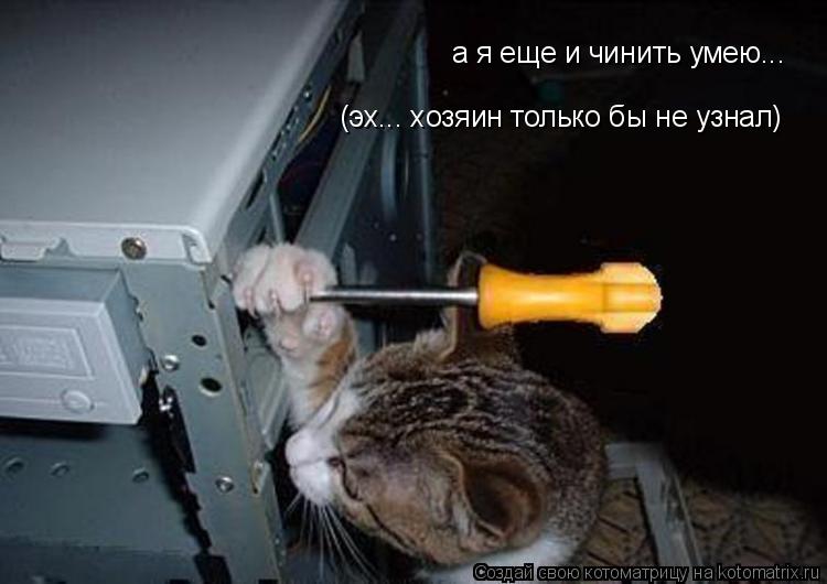 а я еще и чинить умею... (эх... хозяин только бы не узнал)... Котоматрица: а я еще и чинить умею... (эх... хозяин только бы не узнал)