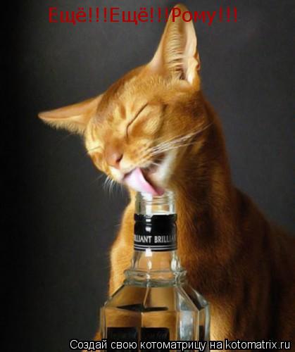 Ещё!!!Ещё!!!Рому!!!... Котоматрица: Ещё!!!Ещё!!!Рому!!!