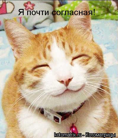 Я почти согласная!... Котоматрица: Я почти согласная!
