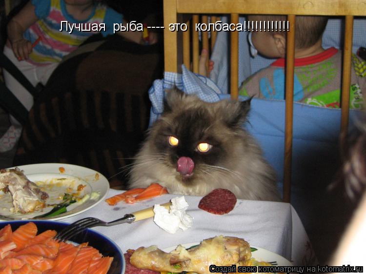 Лучшая рыба ---- это колбаса!!!!!!!!!!!!... Котоматрица: Лучшая рыба ---- это колбаса!!!!!!!!!!!!