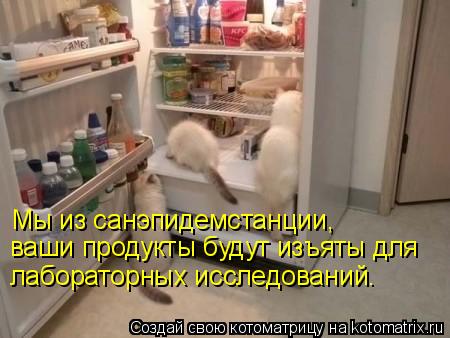 Мы из санэпидемстанции, ваши продукты будут изъяты для лабораторных исследований.... Котоматрица: Мы из санэпидемстанции, ваши продукты будут изъяты для лабораторных исследований.