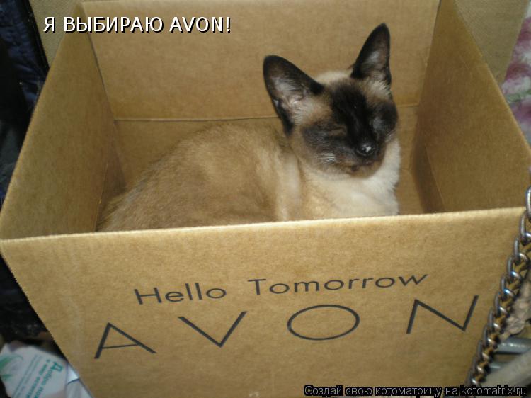 Я ВЫБИРАЮ AVON!... Котоматрица: Я ВЫБИРАЮ AVON!