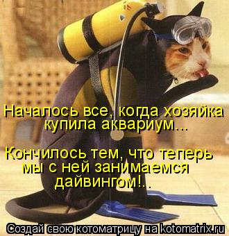 Котоматрица: Началось все, когда хозяйка  купила аквариум... Кончилось тем, что теперь  мы с ней занимаемся дайвингом!..