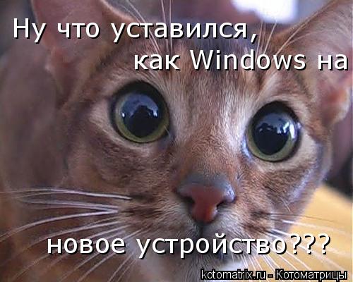 Ну что уставился, как Windows на новое устройство???... Котоматрица: Ну что уставился, как Windows на новое устройство???