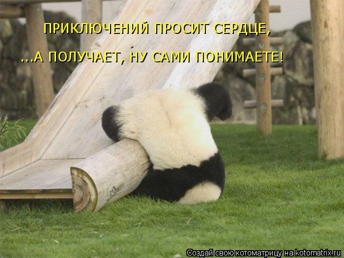 ...А ПОЛУЧАЕТ, НУ САМИ ПОНИМАЕТЕ! ПРИКЛЮЧЕНИЙ ПРОСИТ СЕРДЦЕ,... Котоматрица: ...А ПОЛУЧАЕТ, НУ САМИ ПОНИМАЕТЕ! ПРИКЛЮЧЕНИЙ ПРОСИТ СЕРДЦЕ,