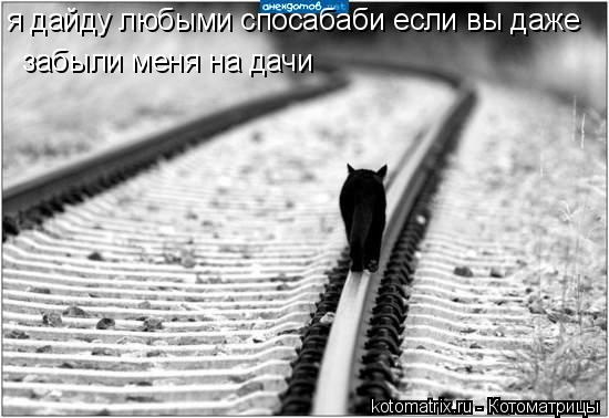 я дайду любыми спосабаби если вы даже забыли меня на дачи... Котоматрица: я дайду любыми спосабаби если вы даже забыли меня на дачи