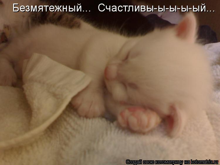 Безмятежный... Счастливы-ы-ы-ы-ый...... Котоматрица: Безмятежный... Счастливы-ы-ы-ы-ый...