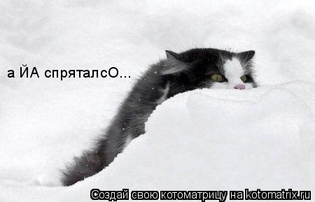Котоматрица: а ЙА спряталсО...