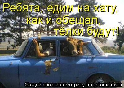 Котоматрица: Ребята, едим на хату, тёлки будут! как и обещал,