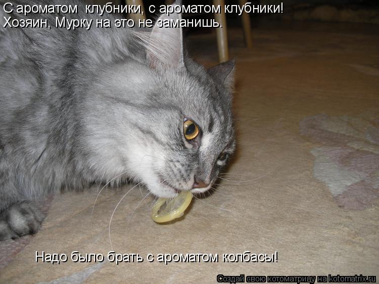 С ароматом клубники, с ароматом клубники! Хозяин, Мурку на это не заманишь. Надо было брать с аром... Котоматрица: С ароматом клубники, с ароматом клубники! Хозяин, Мурку на это не заманишь. Надо было брать с ароматом колбасы!
