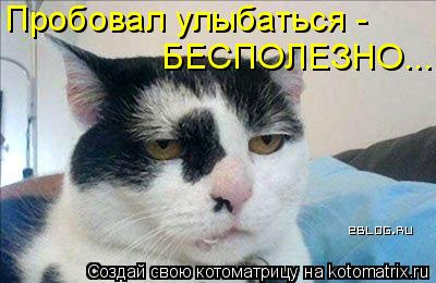 БЕСПОЛЕЗНО... Пробовал улыбаться -... Котоматрица: БЕСПОЛЕЗНО... Пробовал улыбаться -
