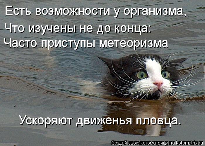 Есть возможности у организма, Что изучены не до конца: Часто приступы метеоризма Ускоряют движенья ... Котоматрица: Есть возможности у организма, Что изучены не до конца: Часто приступы метеоризма Ускоряют движенья пловца.