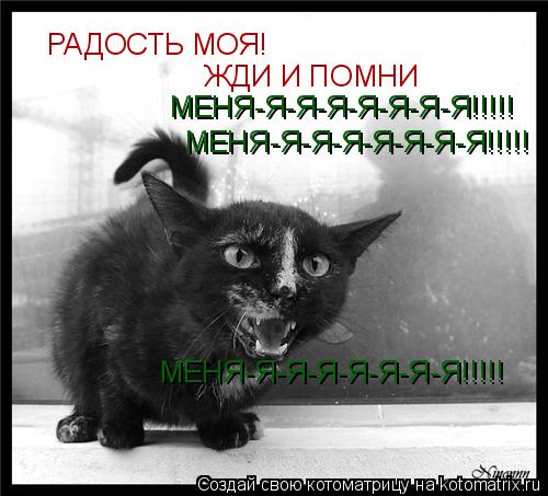 Котоматрица: РАДОСТЬ МОЯ! ЖДИ И ПОМНИ  МЕНЯ-Я-Я-Я-Я-Я-Я-Я!!!!! МЕНЯ-Я-Я-Я-Я-Я-Я-Я!!!!! МЕНЯ-Я-Я-Я-Я-Я-Я-Я!!!!!