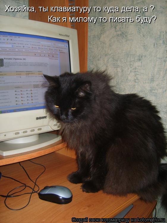 Хозяйка, ты клавиатуру то куда дела, а ? Как я милому то писать буду?... Котоматрица: Хозяйка, ты клавиатуру то куда дела, а ? Как я милому то писать буду?