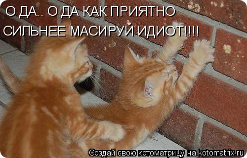 О ДА.. О ДА КАК ПРИЯТНО СИЛЬНЕЕ МАСИРУЙ ИДИОТ!!!!... Котоматрица: О ДА.. О ДА КАК ПРИЯТНО СИЛЬНЕЕ МАСИРУЙ ИДИОТ!!!!