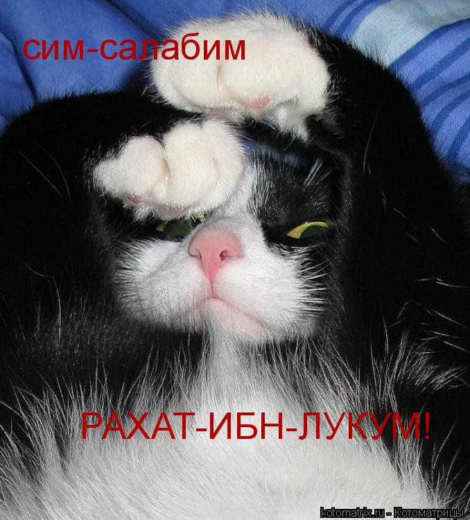 Котоматрица: сим-салабим РАХАТ-ИБН-ЛУКУМ!
