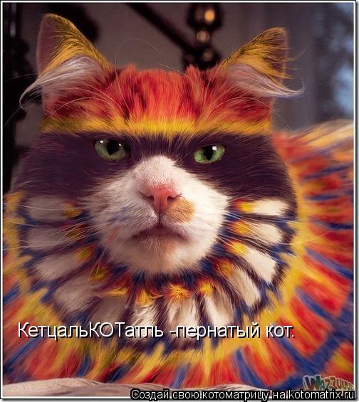 КетцальКОТатль -пернатый кот.... Котоматрица: КетцальКОТатль -пернатый кот.