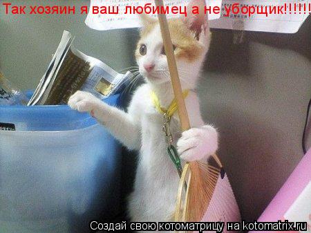 Так хозяин я ваш любимец а не уборщик!!!!!!!!!... Котоматрица: Так хозяин я ваш любимец а не уборщик!!!!!!!!!