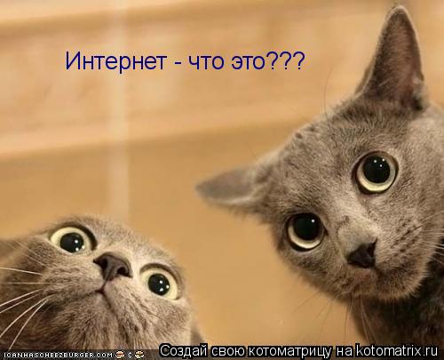 Интернет - что это???... Котоматрица: Интернет - что это???