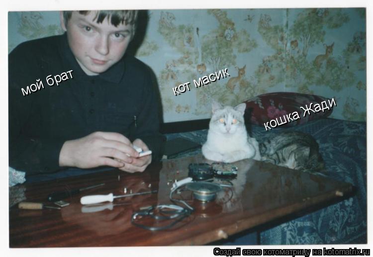 мой брат кот масик кошка Жади... Котоматрица: мой брат кот масик кошка Жади