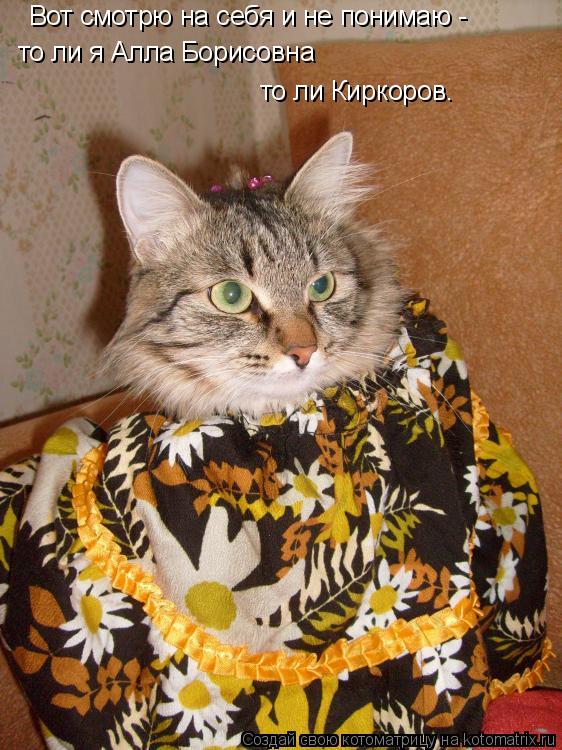 Вот смотрю на себя и не понимаю - то ли я Алла Борисовна то ли Киркоров.... Котоматрица: Вот смотрю на себя и не понимаю - то ли я Алла Борисовна то ли Киркоров.