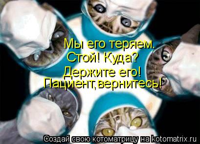Мы его теряем. Держите его! Стой! Куда? Пациент,вернитесь!... Котоматрица: Мы его теряем. Держите его! Стой! Куда? Пациент,вернитесь!