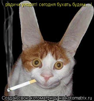 Котоматрица: родичи уходят! сегодня бухать будем....!
