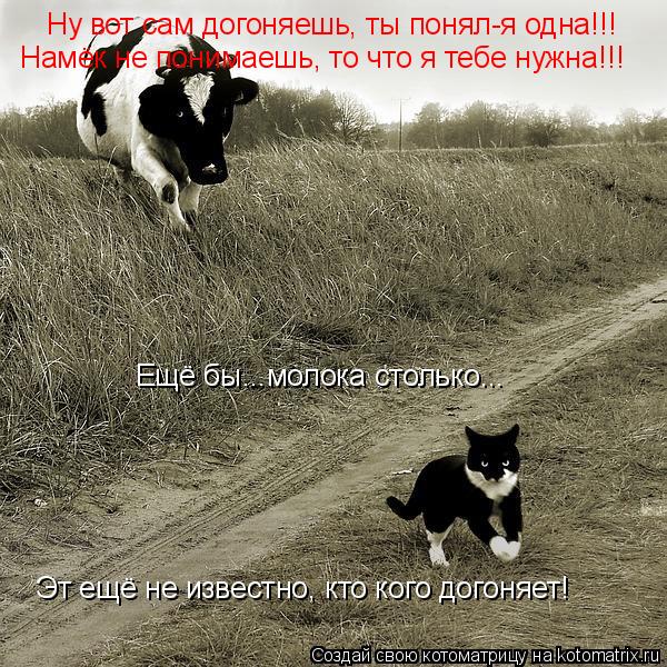 Ну вот сам догоняешь, ты понял-я одна!!! Намёк не понимаешь, то что я тебе нужна!!! Ещё бы...молока с... Котоматрица: Ну вот сам догоняешь, ты понял-я одна!!! Намёк не понимаешь, то что я тебе нужна!!! Ещё бы...молока столько... Эт ещё не известно, кто кого догоняе