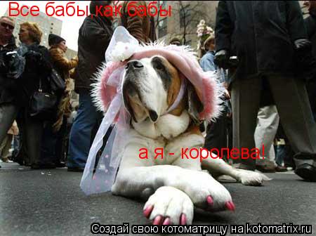 Все бабы,как бабы а я - королева!... Котоматрица: Все бабы,как бабы а я - королева!