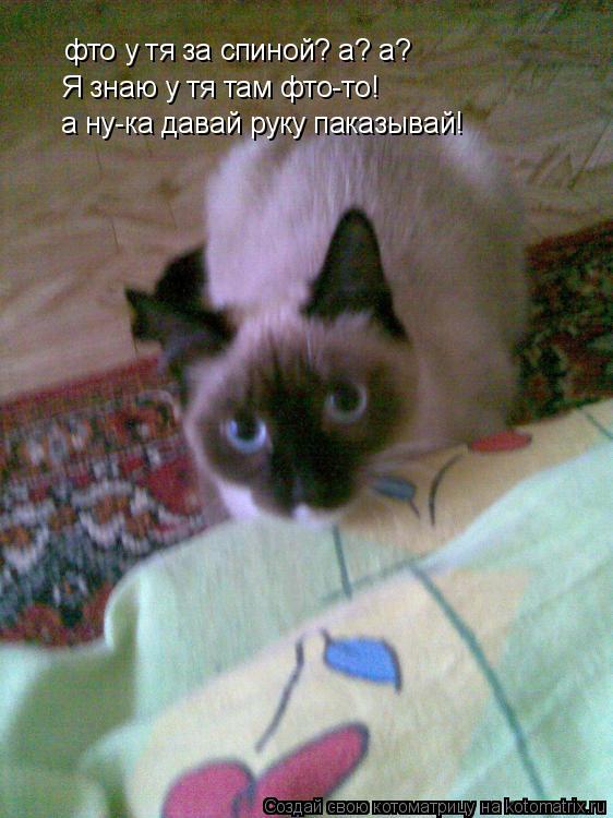 фто у тя за спиной? а? а? Я знаю у тя там фто-то! а ну-ка давай руку паказывай!... Котоматрица: фто у тя за спиной? а? а? Я знаю у тя там фто-то! а ну-ка давай руку паказывай!