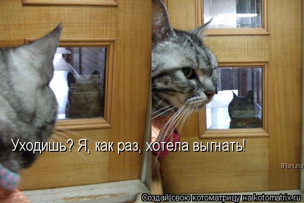 Уходишь? Я, как раз, хотела выгнать!... Котоматрица: Уходишь? Я, как раз, хотела выгнать!